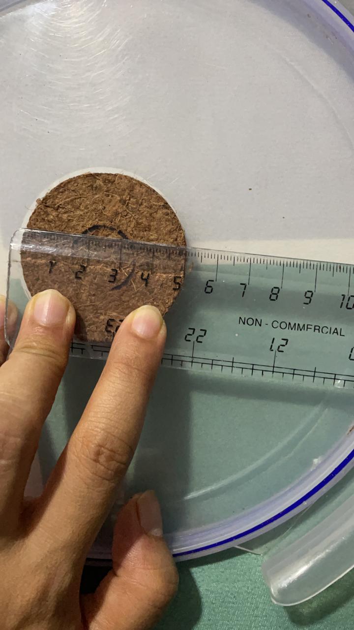 Coco Coir- 42mm (Premium Quality with Nutrients) - 25Pcs