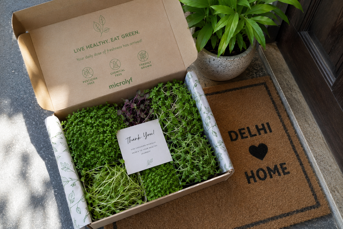 BageechaBox Fresh Microgreens Delivery — Delhi/NCR