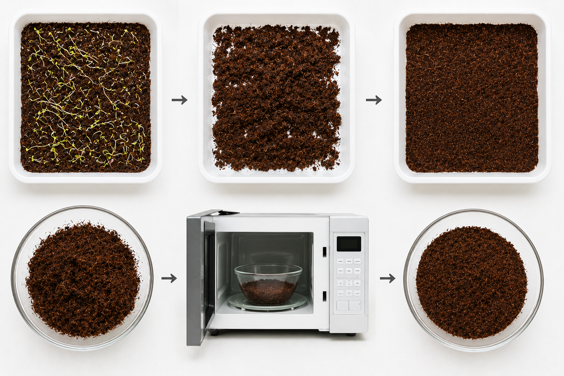 How to Reuse Cocopeat for Microgreens