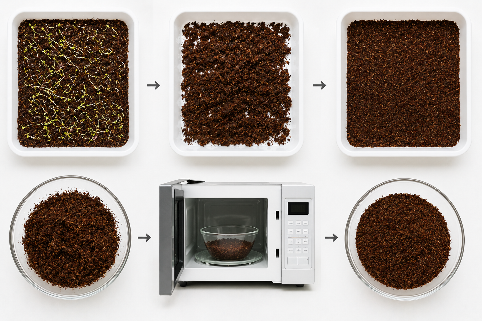 How to Reuse Cocopeat for Microgreens