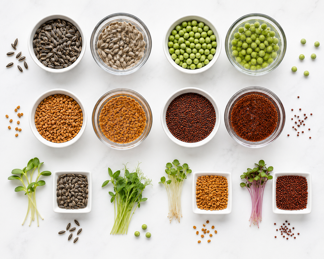 Which Microgreen Seeds Need Soaking? Complete Guide for Indian Growers