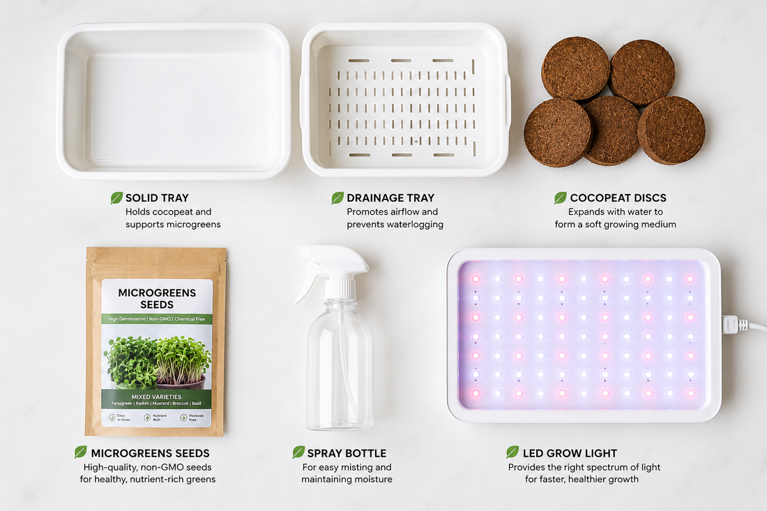 Essential Equipment: A Checklist of Trays, Lights, and Soil