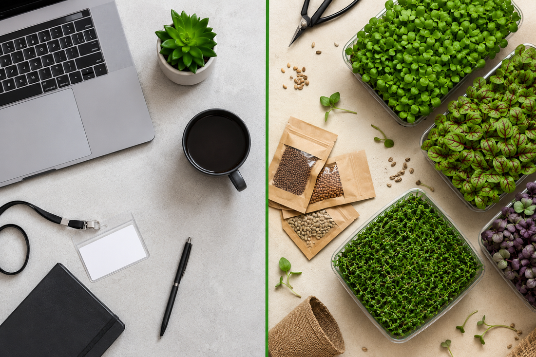 Microgreens business vs corporate job — why more Indians are choosing to grow