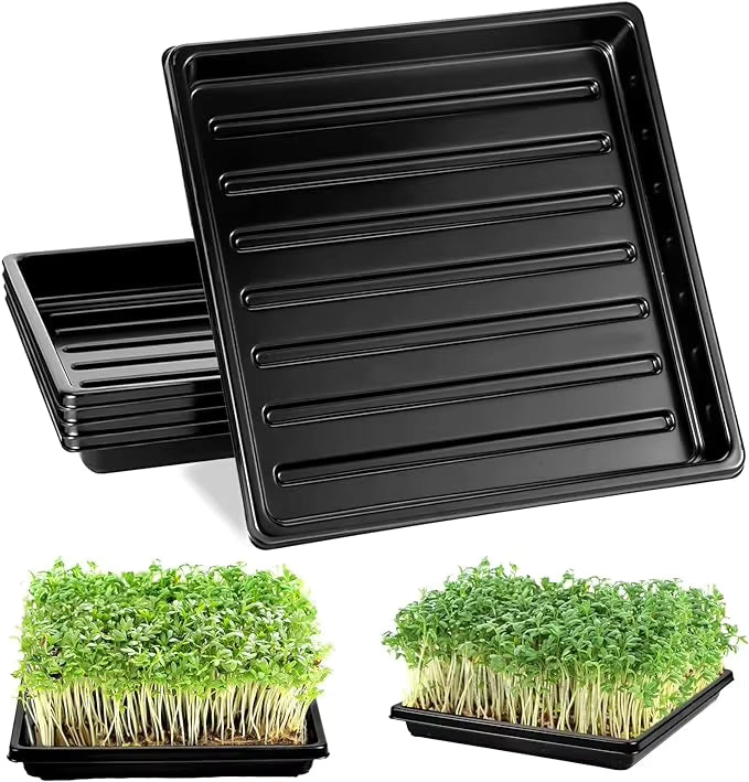 Professional 10x10 Microgreen Growing Trays (Set of 2)
