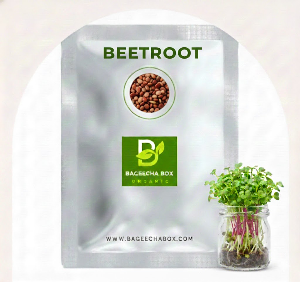 Beetroot microgreen seeds - organic beet seeds for growing vibrant red microgreens at home