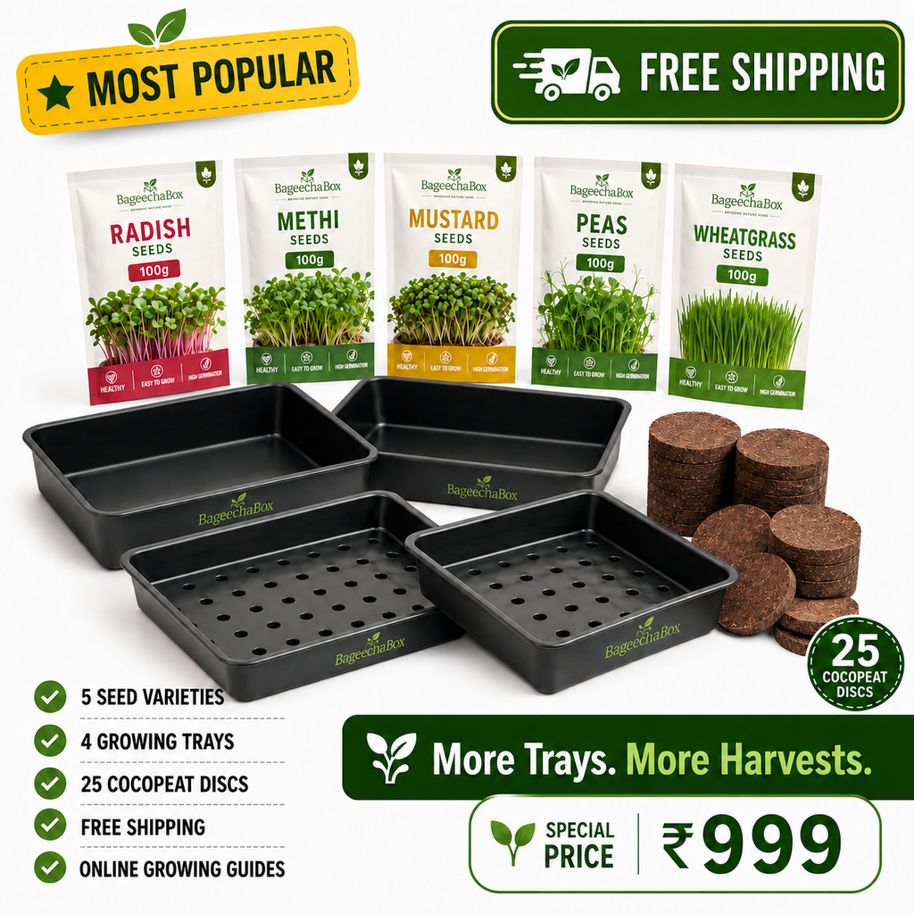 BageechaBox Beginner Plus Microgreens Kit – non-GMO radish, methi, mustard, peas and wheatgrass seeds with 4 growing trays, free shipping