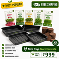 BageechaBox Beginner Plus Microgreens Kit – non-GMO radish, methi, mustard, peas and wheatgrass seeds with 4 growing trays, free shipping