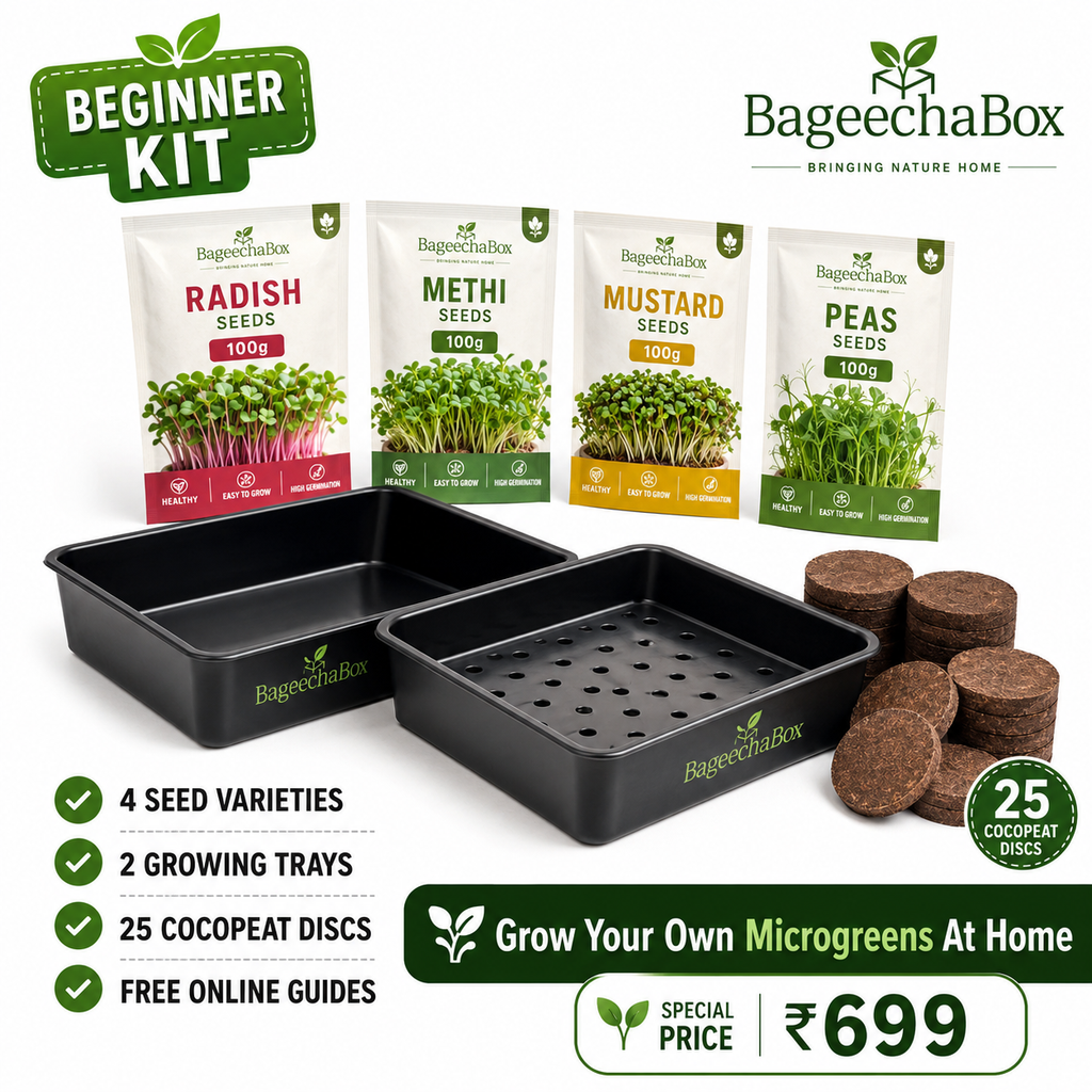 BageechaBox Beginner Microgreens Kit – non-GMO radish, methi, mustard and peas seeds with growing trays and cocopeat discs