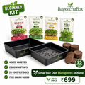 BageechaBox Beginner Microgreens Kit – non-GMO radish, methi, mustard and peas seeds with growing trays and cocopeat discs