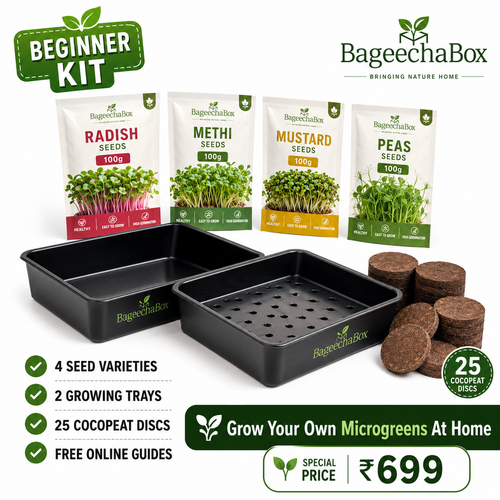 BageechaBox Beginner Microgreens Kit – non-GMO radish, methi, mustard and peas seeds with growing trays and cocopeat discs