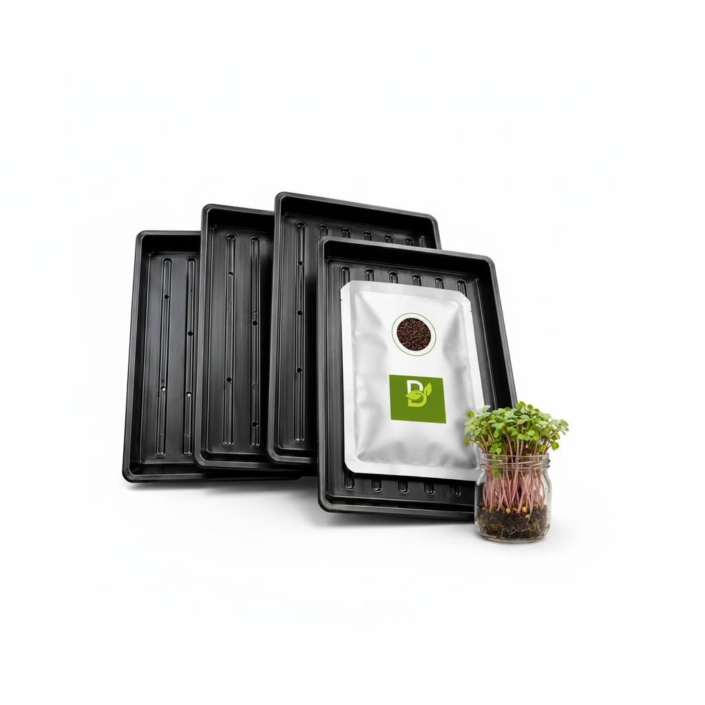Professional 10x10 Microgreen Growing Trays India | 4 Sets of 2 trays + Radish Seeds 100g | BageechaBox