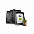 Professional 10x10 Microgreen Growing Trays India | 4 Sets of 2 trays + Radish Seeds 100g | BageechaBox