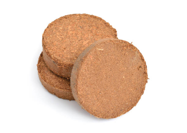 Cocopeat netted disc 42mm – compressed coir pellet for microgreens, pack of 25 | BageechaBox