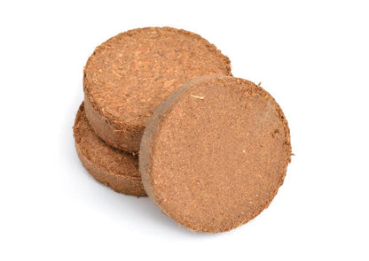 Cocopeat Netted Disc - 42mm (Premium Quality) - 25Pcs