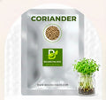 Coriander microgreen seeds - organic cilantro seeds for growing fresh microgreens