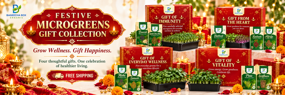 BageechaBox Diwali Gifting 2026 — Grow Wellness. Gift Happiness. Four themed microgreen gift kits: Immunity, Heart, Everyday Wellness and Vitality