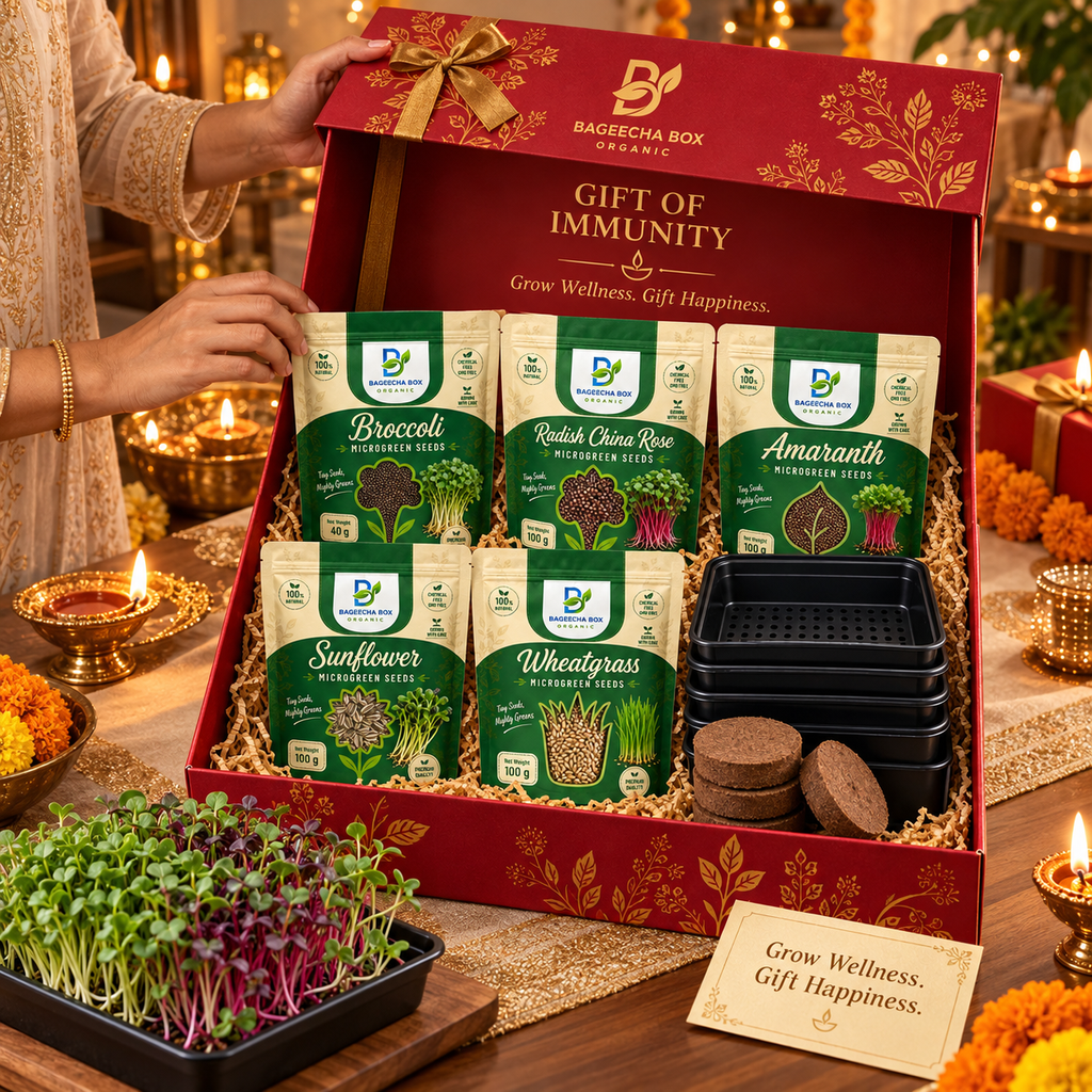 BageechaBox Diwali Gift Kit — Gift of Immunity — second view, broccoli, radish china rose, red amaranth, sunflower and wheatgrass microgreen kit contents