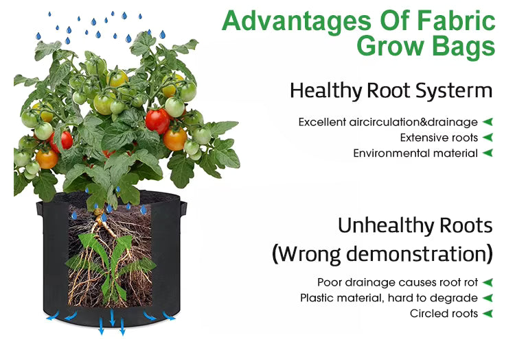 Grow Bags for Plants - Nonwoven Fabric 10 Gallon