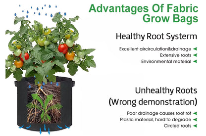 Grow Bags for Plants - Nonwoven Fabric, Breathable, Eco friendly, Reusable - 10 Gallon (black color) - Available from 18 Oct.