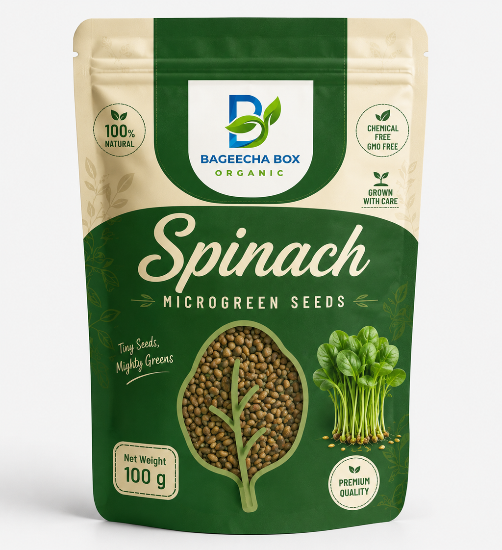 Spinach Palak microgreen seeds – iron-rich daily superfood, non-GMO | BageechaBox