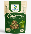 Coriander Dhaniya microgreen seeds – aromatic Indian flavour, non-GMO | BageechaBox