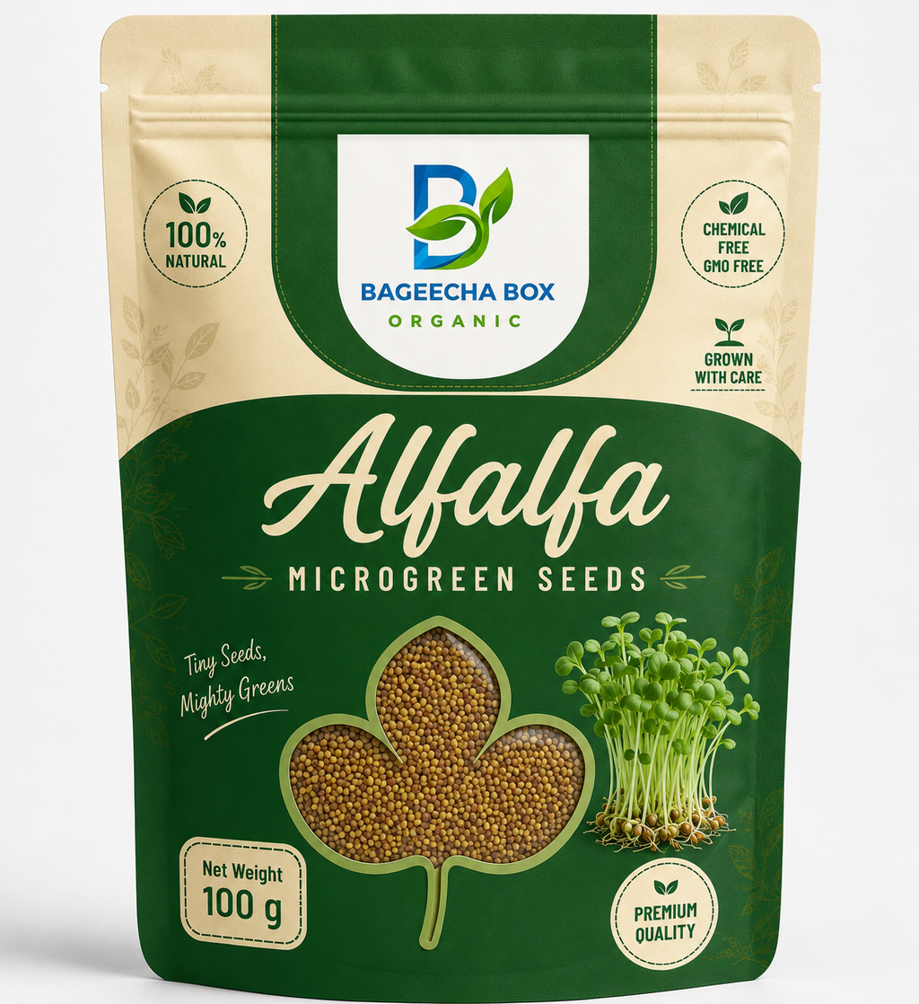Alfalfa microgreen seeds pack – mild, crunchy, non-GMO seeds for home growing | BageechaBox