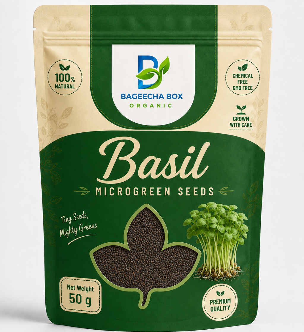 Basil microgreen seeds – aromatic Italian basil, non-GMO, home growing | BageechaBox