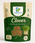 Clover microgreen seeds – easiest to grow, no soaking needed, non-GMO | BageechaBox