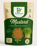 Mustard Sarson microgreen seeds – spicy, fast-growing, non-GMO | BageechaBox