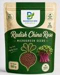 Radish China Rose microgreen seeds – vivid pink, spicy, fast-growing | BageechaBox