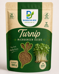 Turnip Shalgam microgreen seeds – mild, iron-rich, easy to grow | BageechaBox