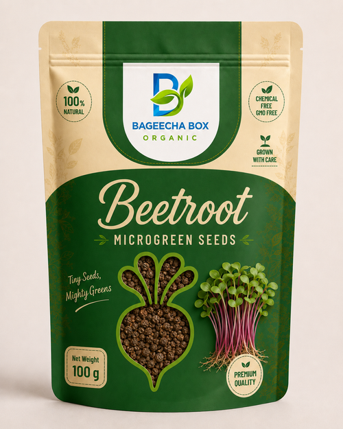 Beetroot microgreen seeds – deep red stems, earthy flavour, non-GMO | BageechaBox