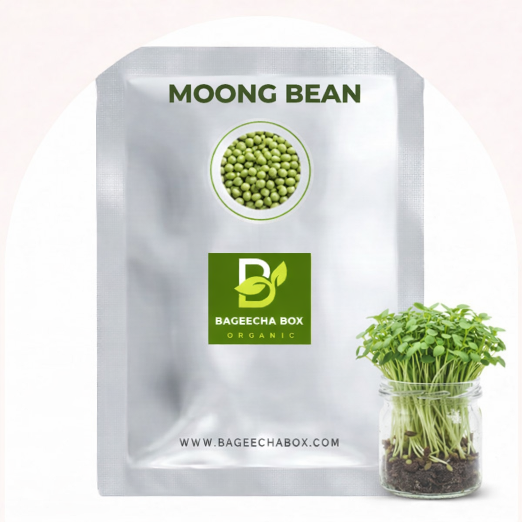 Moong bean microgreen seeds – organic, non-GMO | Add to chaat, salads and smoothies | BageechaBox India