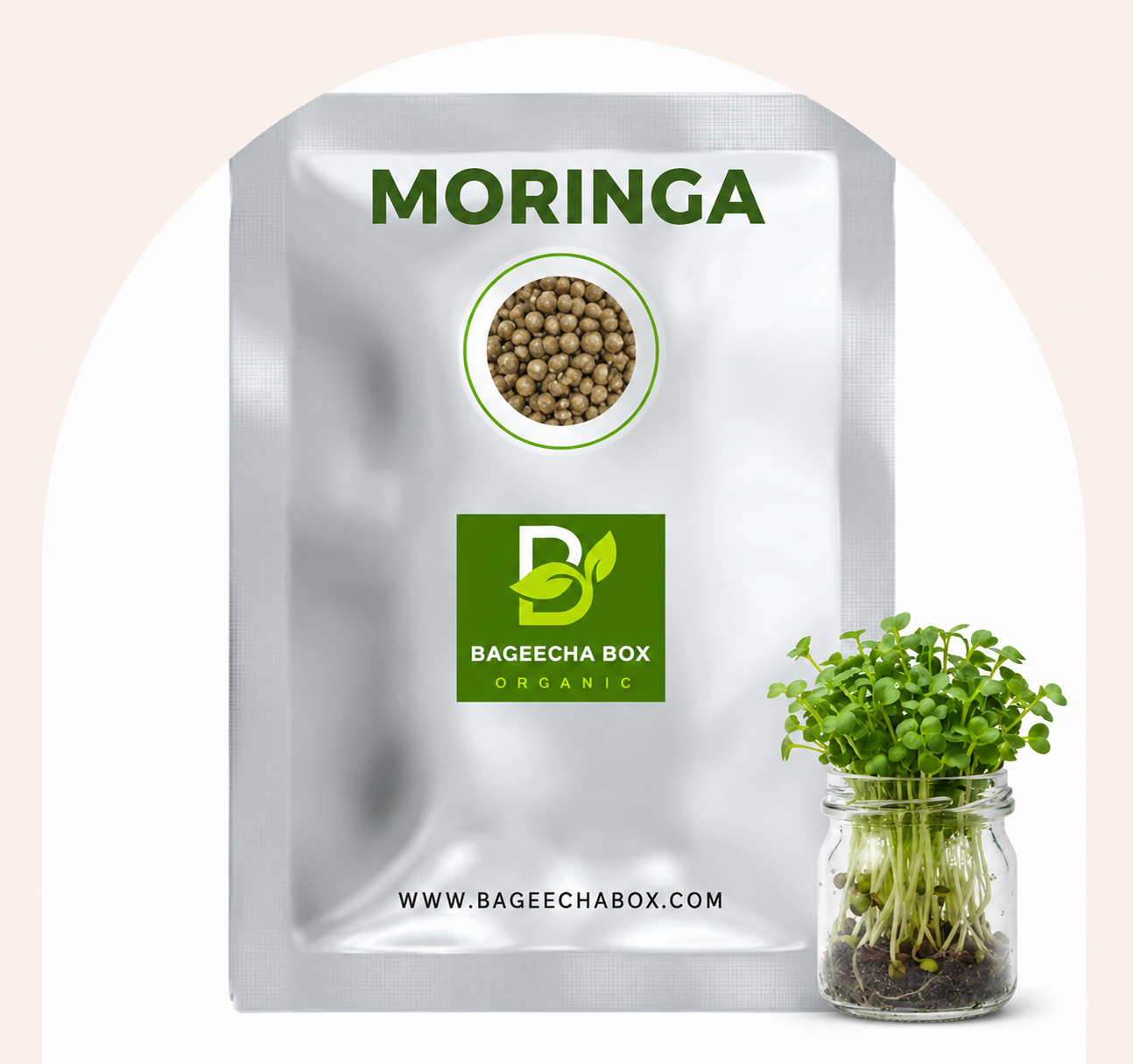 Moringa microgreen seeds – non-GMO, nutrient-dense, high germination | BageechaBox India