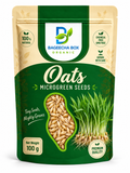 Oats microgreen seeds front – non-GMO, fibre-rich, high germination | BageechaBox India