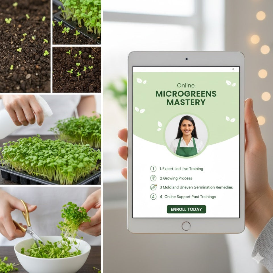 Live online microgreens masterclass India – expert-led hands-on training from home | BageechaBox