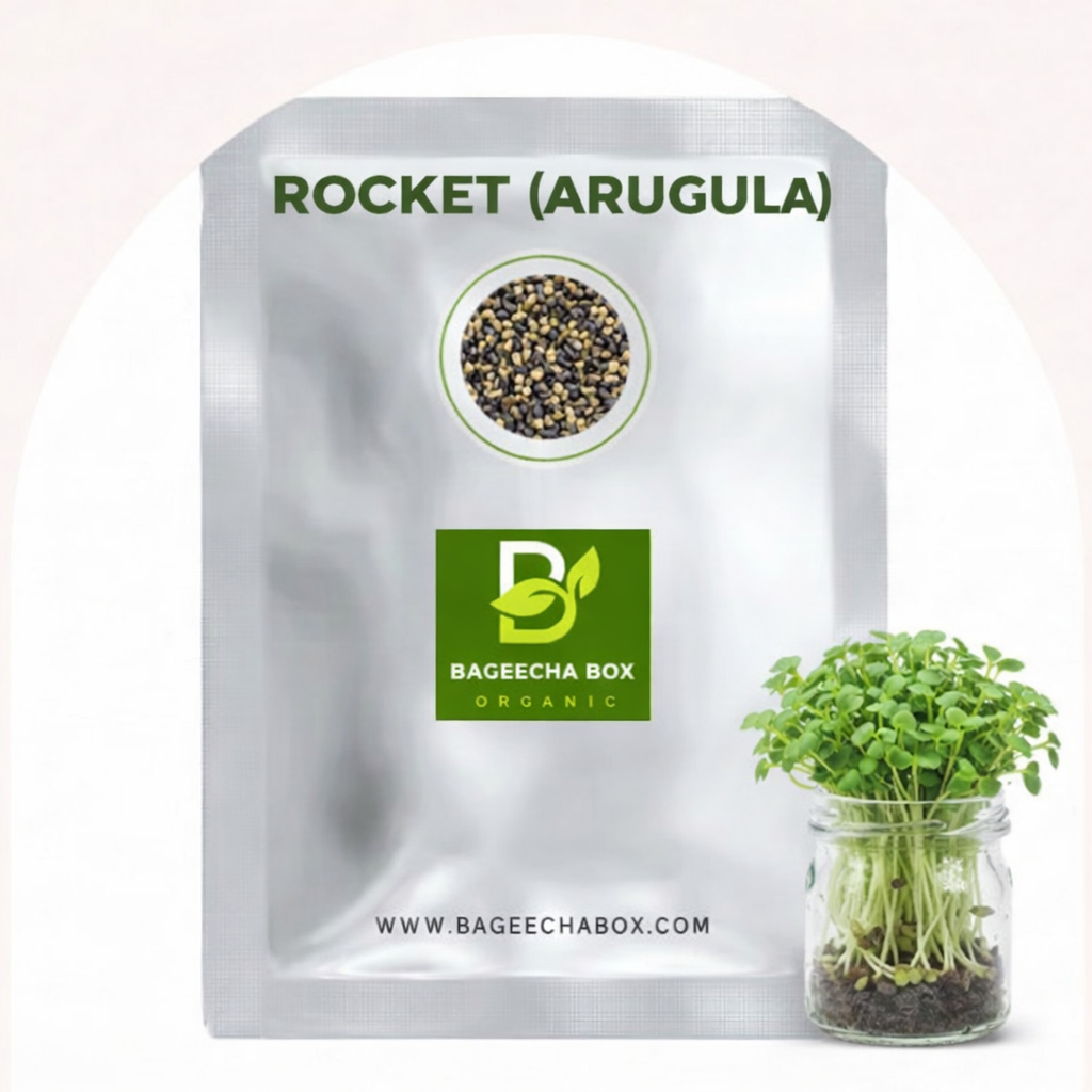 BageechaBox Rocket Arugula Seeds — Open Pollinated, Chemical-Free | High Germination Microgreen Seeds India