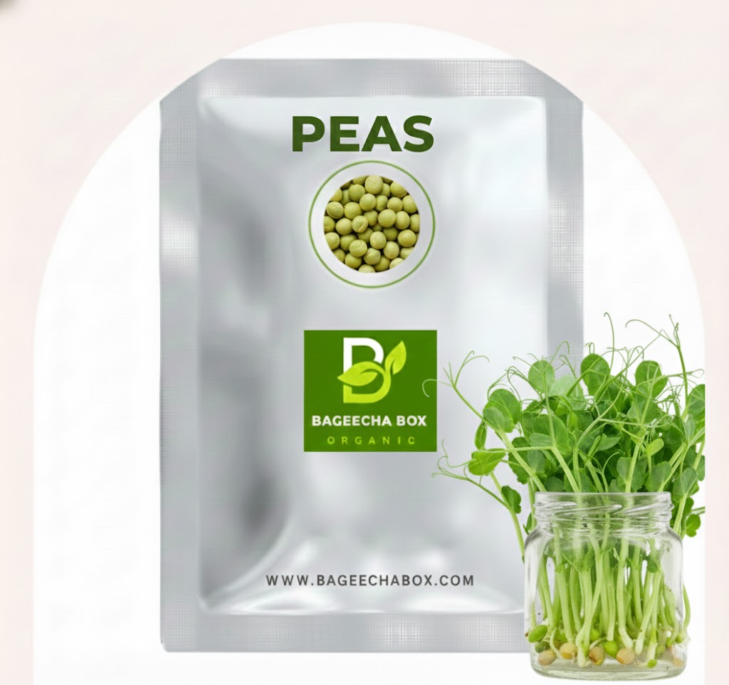Peas matar microgreen seeds – organic pea shoots, non-GMO, sweet and crunchy | BageechaBox India