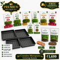 BageechaBox Premium Wellness Microgreens Kit – 8 non-GMO seed varieties with NPK cocopeat, 4 growing trays and Ask Sonia AI support