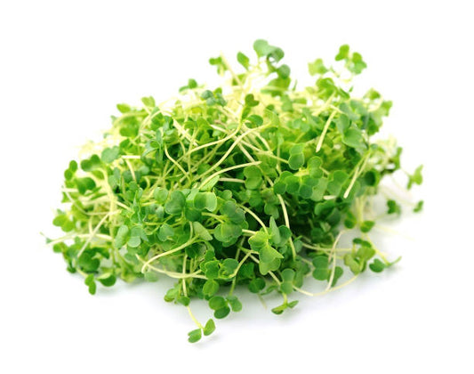 Spinach (Palak) Microgreens 100gm