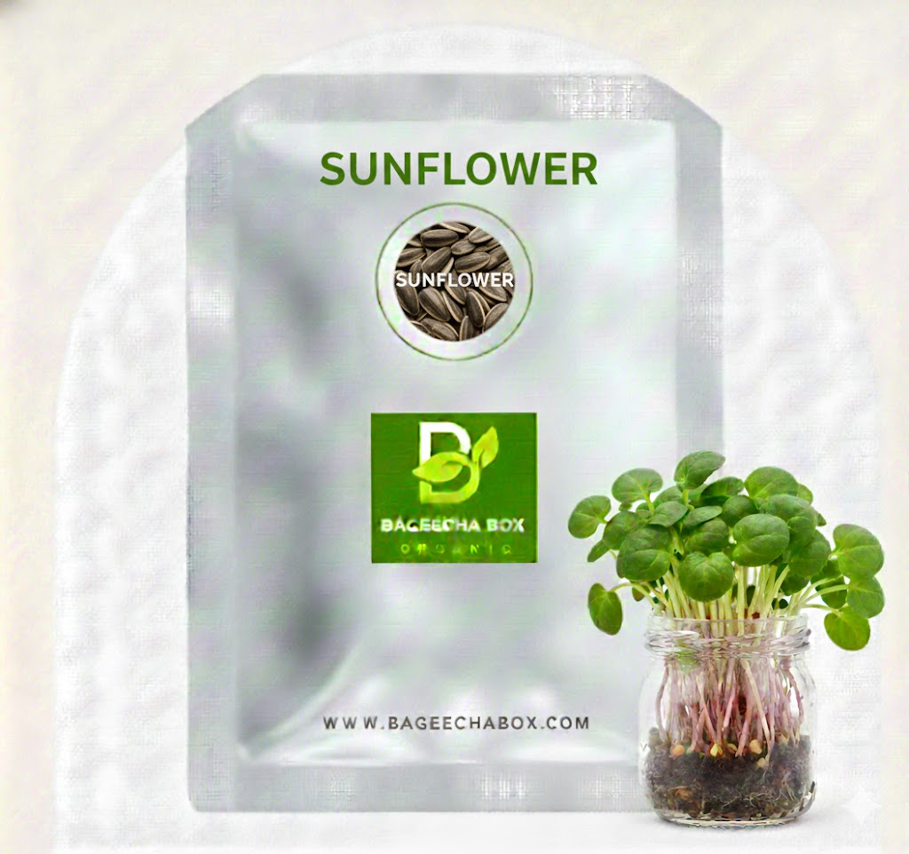Sunflower microgreen seeds - organic sunflower seeds for growing crunchy nutty microgreens