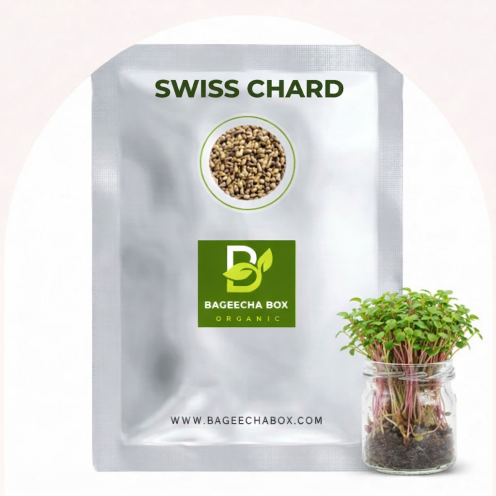 Swiss chard microgreen seeds – vibrant coloured stems, non-GMO | Grow at home India | BageechaBox