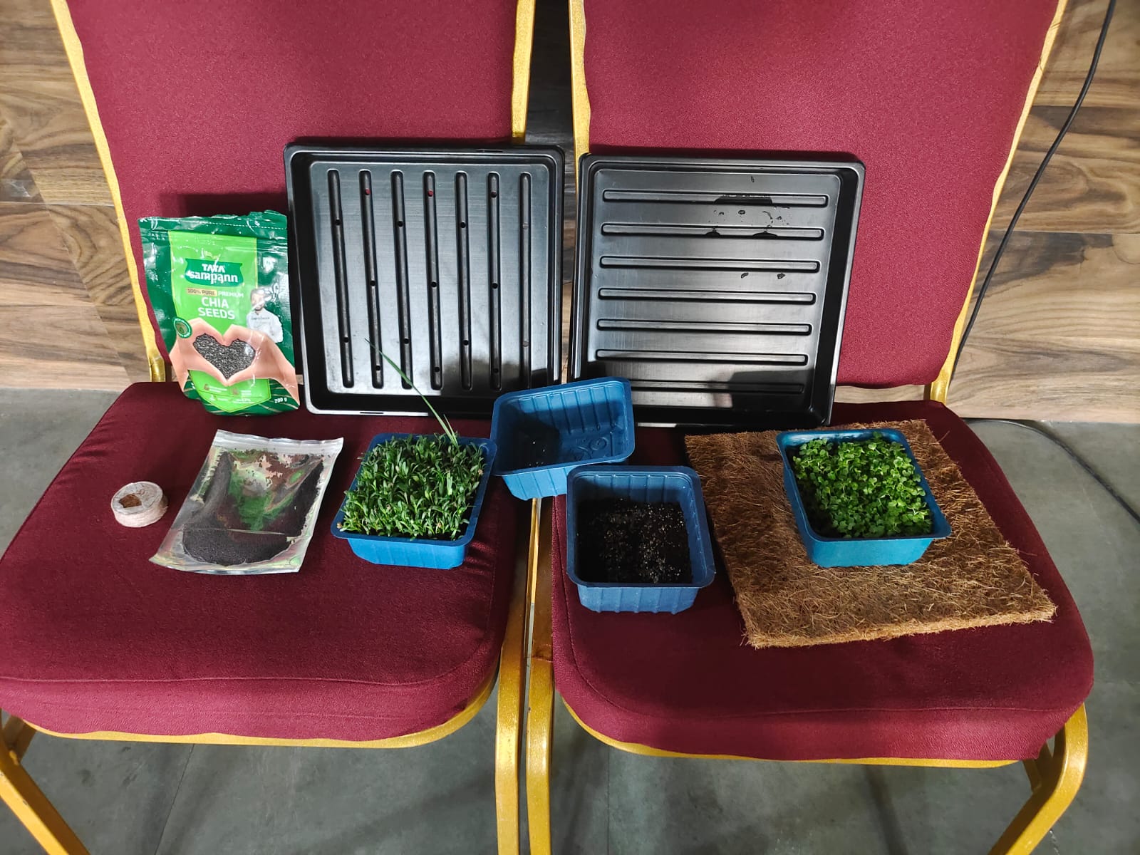 School Training on Microgreens with large audience in Nodia