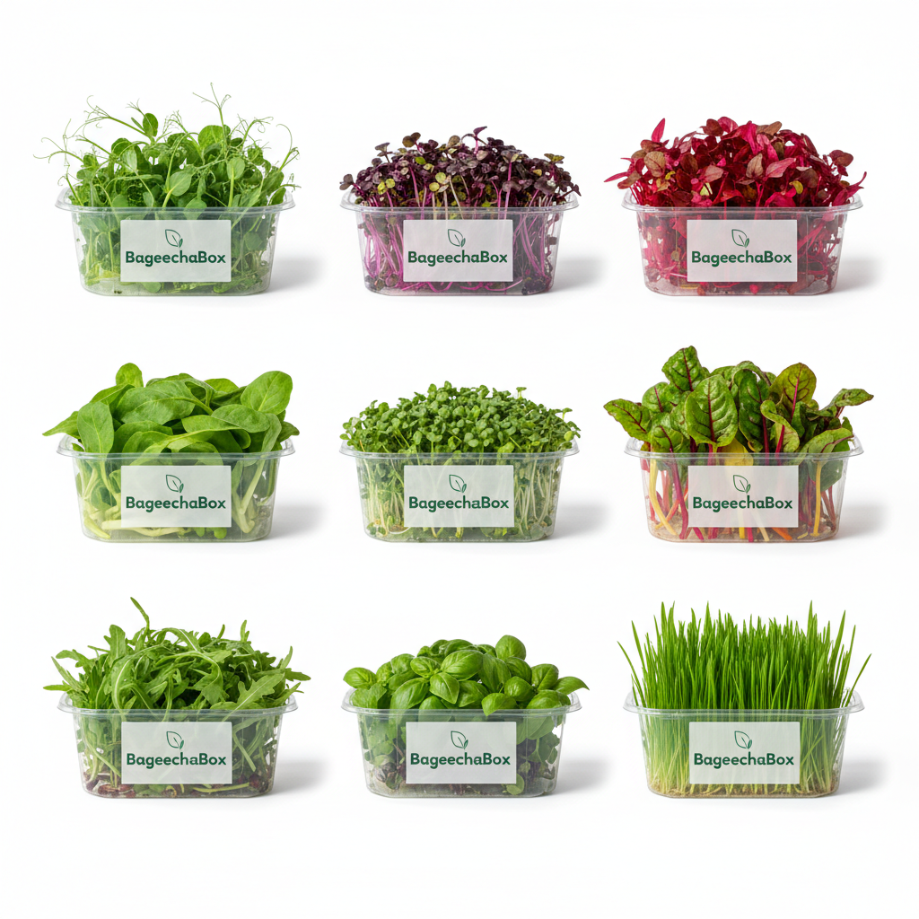 Fresh Microgreens all varieties. Delhi, NCR, Noida, Gurgoan, Faridabad