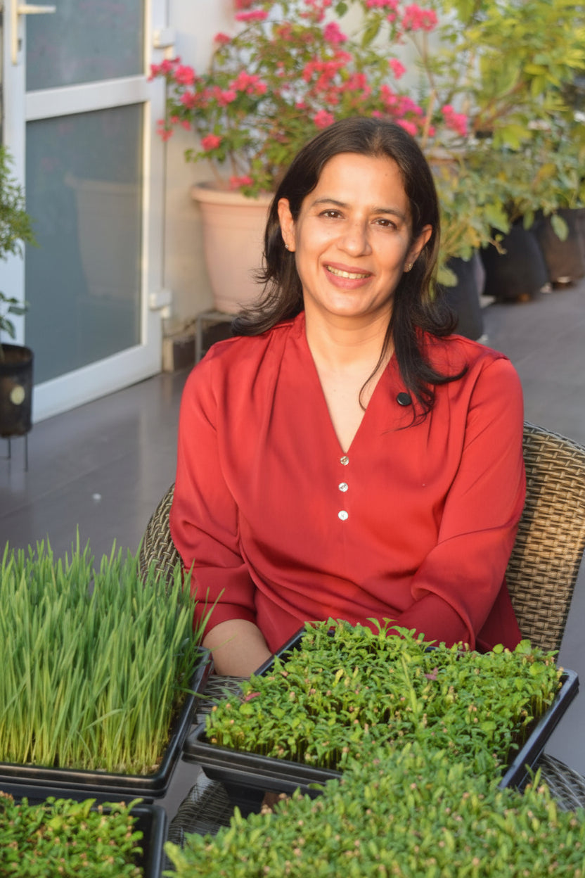 Founder of BageechaBox