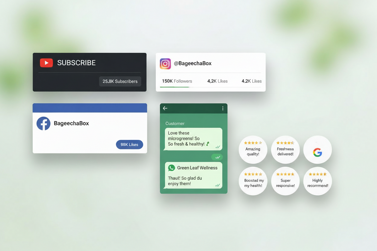 Bageechabox Live. Live Microgreen Delhi, NCR. Connect with us. Contact us on social media