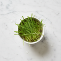 Fresh wheatgrass microgreens – chemical-free, home delivery Delhi NCR | Buy online | BageechaBox
