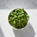 Fresh sunflower surajmukhi microgreens – nutty, crunchy, chemical-free home delivery Delhi NCR | BageechaBox