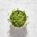 Fresh mustard sarson microgreens – spicy, chemical-free, farm-fresh delivery Delhi NCR | BageechaBox