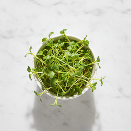 Fresh Mustard (Sarson) Microgreens – Bold, Spicy Desi Heat | Home Delivery Delhi NCR | BageechaBox